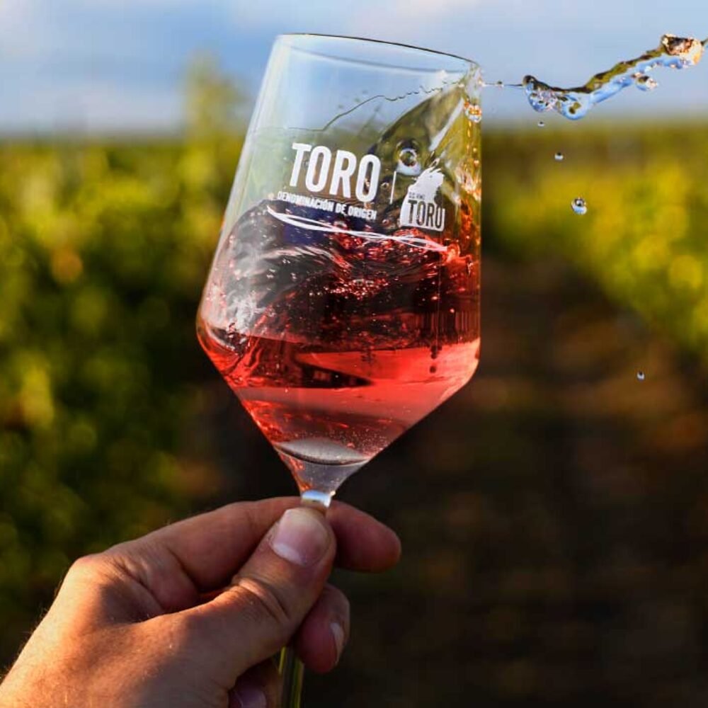 VINOS ROSADOS DE TORO