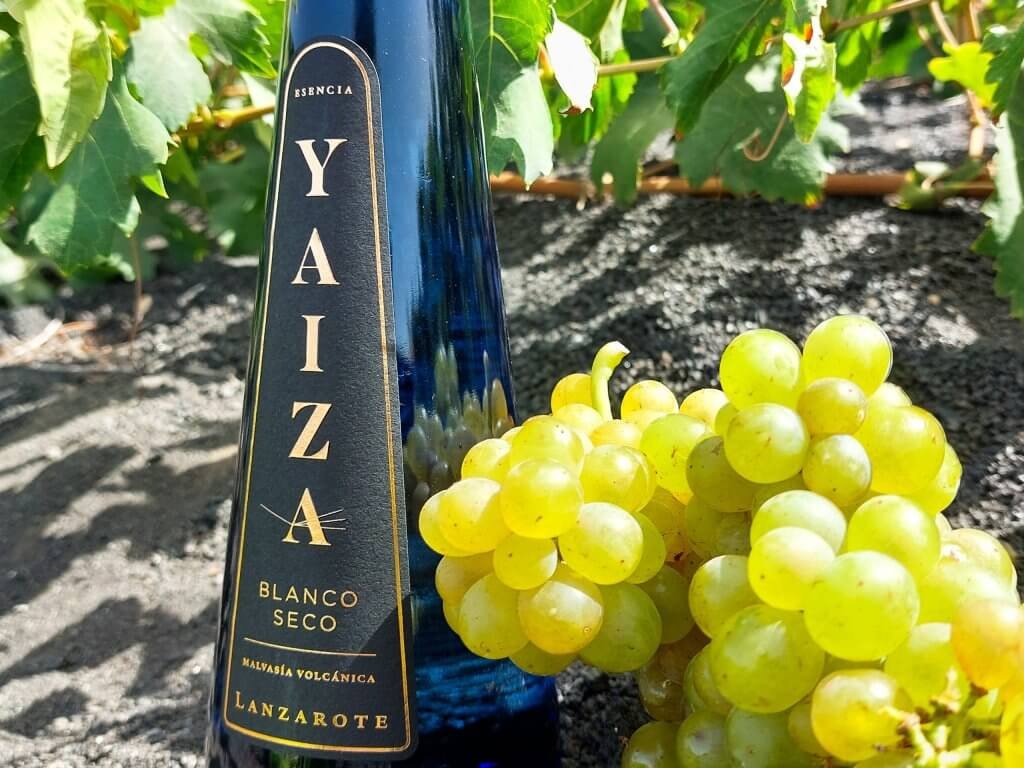 vinos de Lanzarote