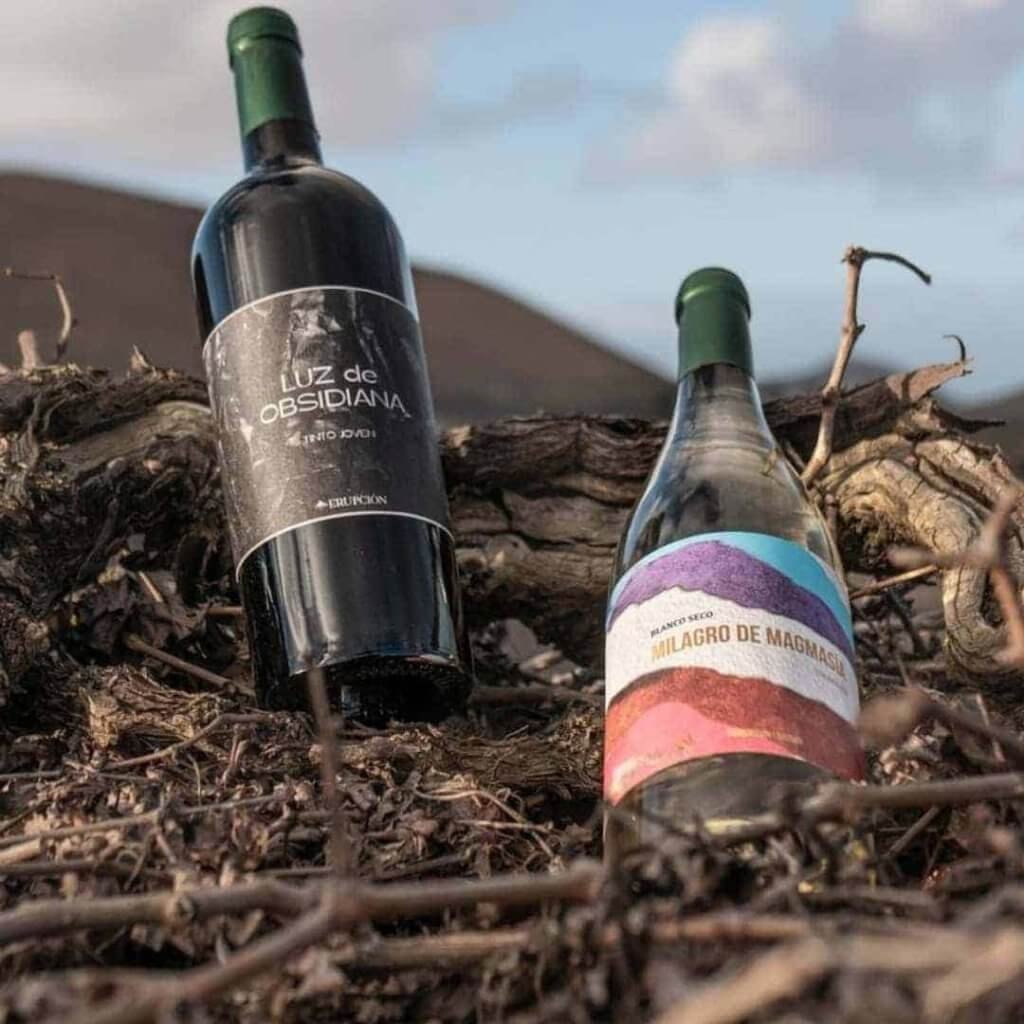 vinos de Lanzarote