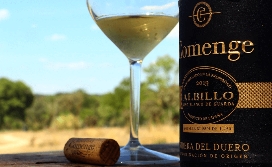 VINOS BLANCOS DE GUARDA
