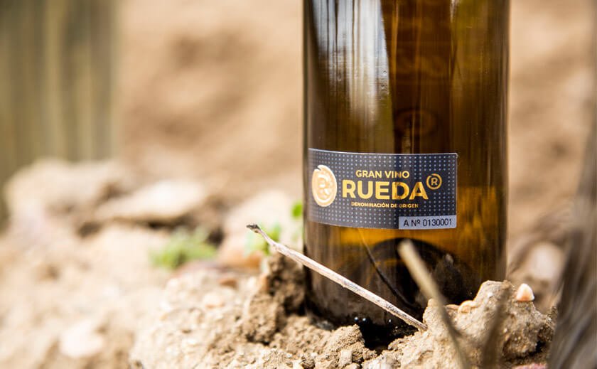 VINOS BLANCOS DE GUARDA